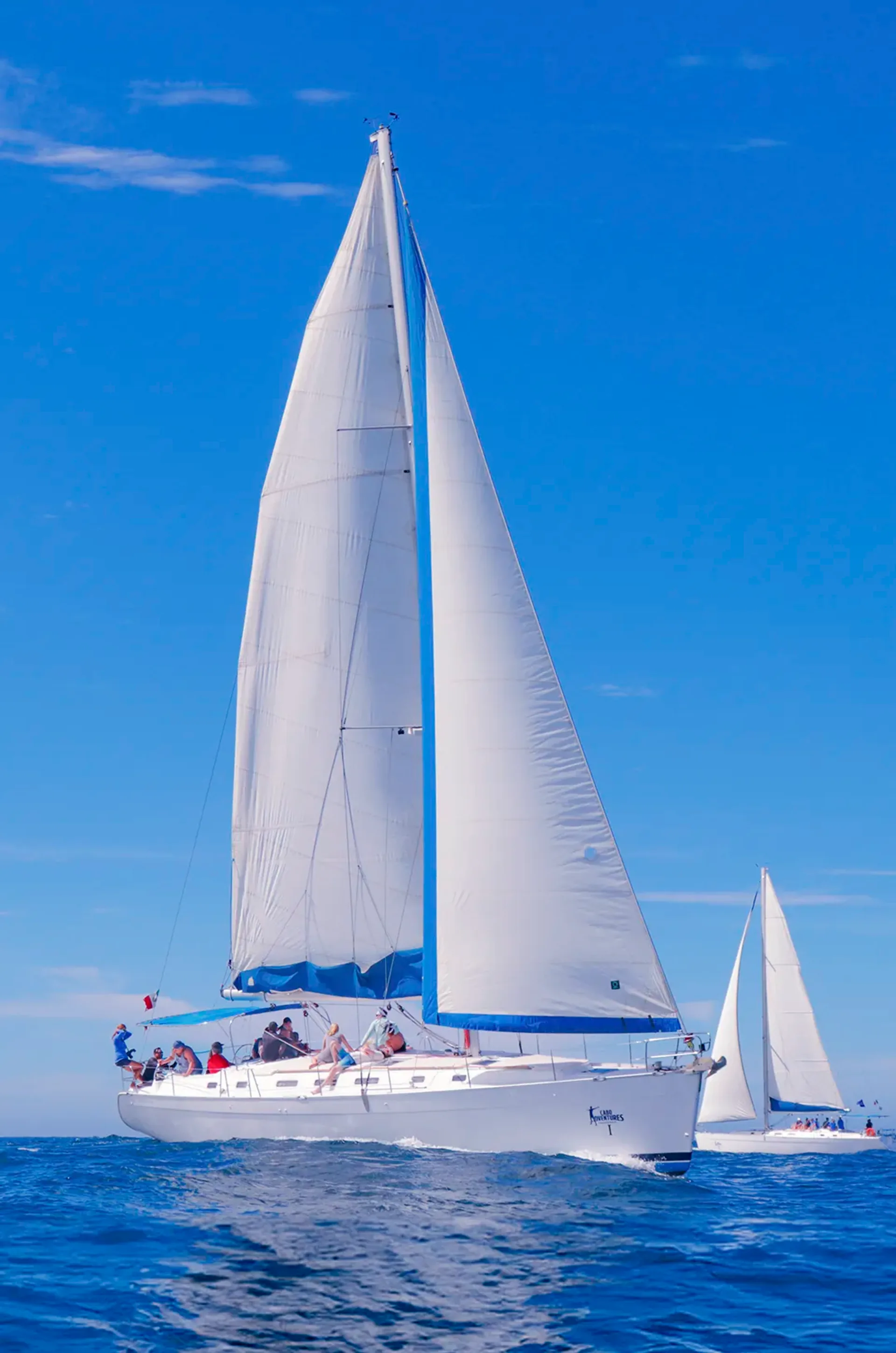 Leopard 51 PowerCat, photo 6